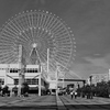 大阪海遊館
