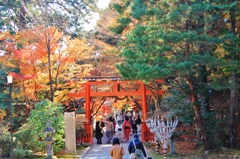 紅葉狩り
