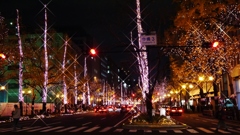 夜の御堂筋