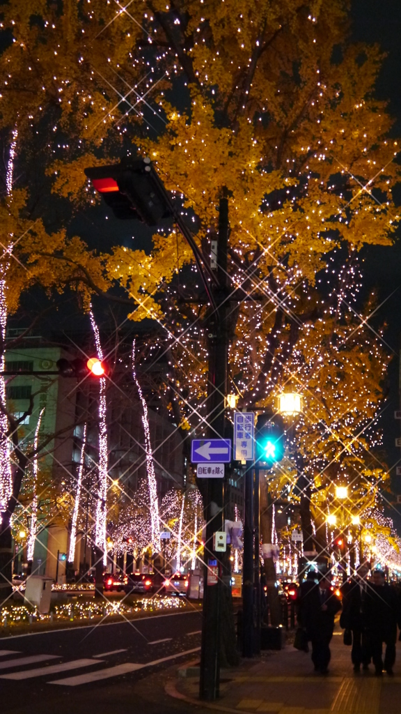 夜の御堂筋
