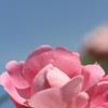 彩り