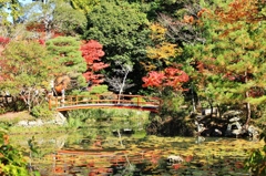 紅葉狩り