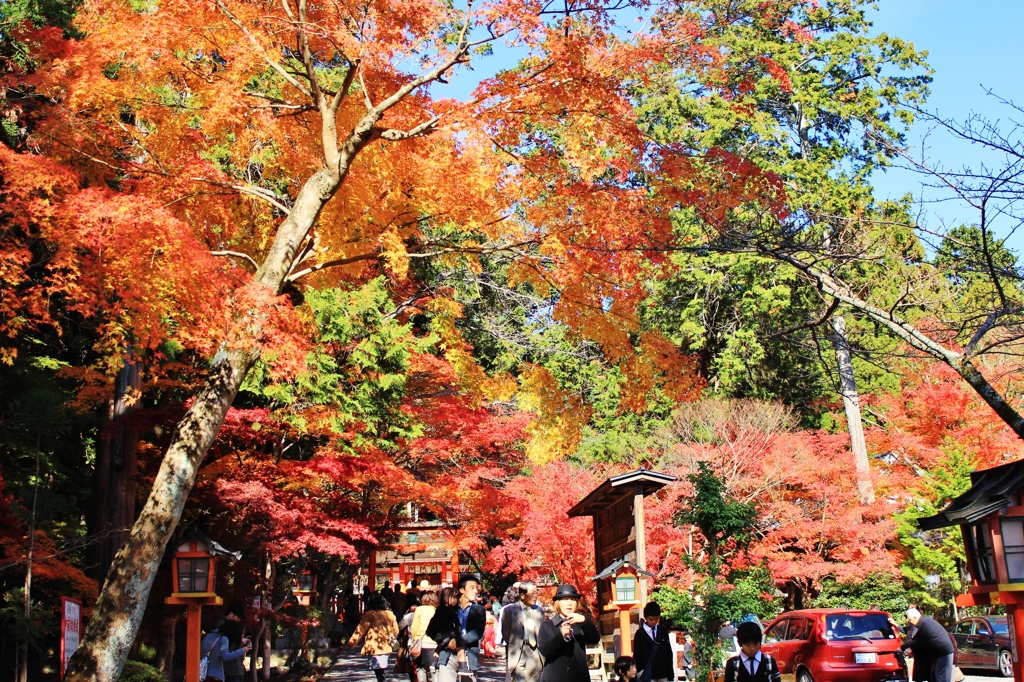 紅葉狩り