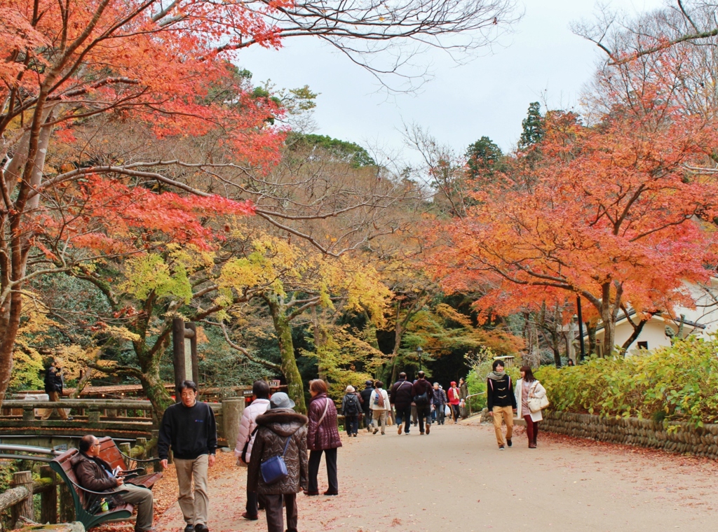 紅葉狩り