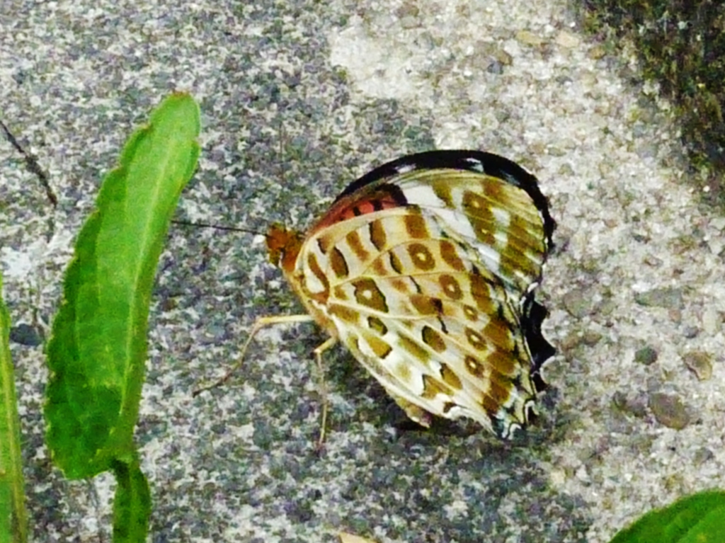 一休み