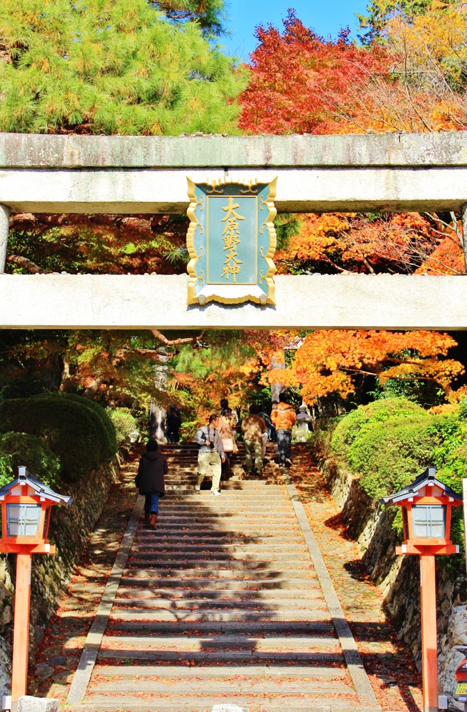 紅葉狩り