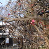 旧府中郵便局を望む