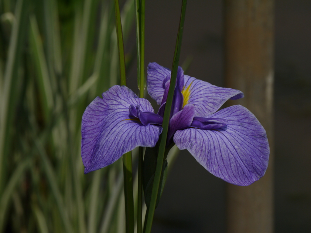 P1100661