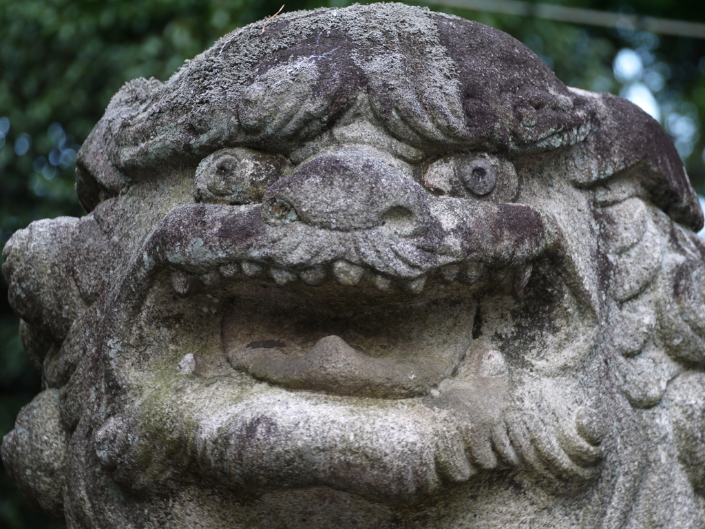 八幡神社　狛犬　阿