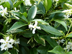 P1010342