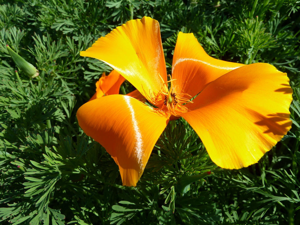 プラスちっくな花