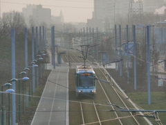 朝もやのなかの路面電車