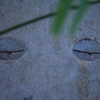 塗り壁