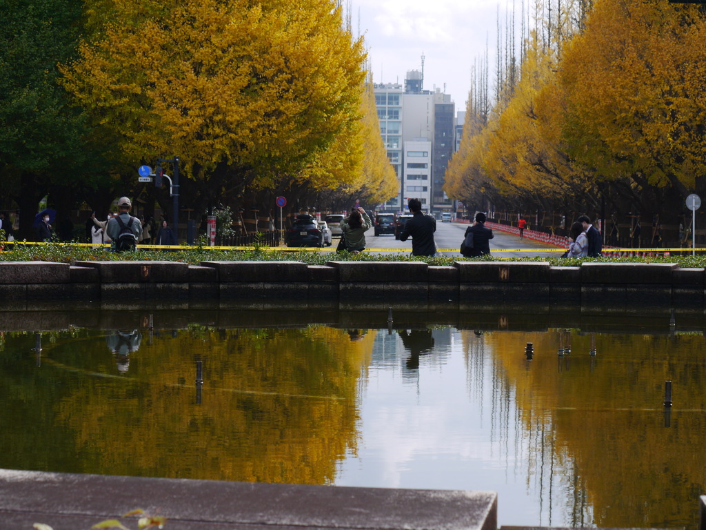 yellow reflection