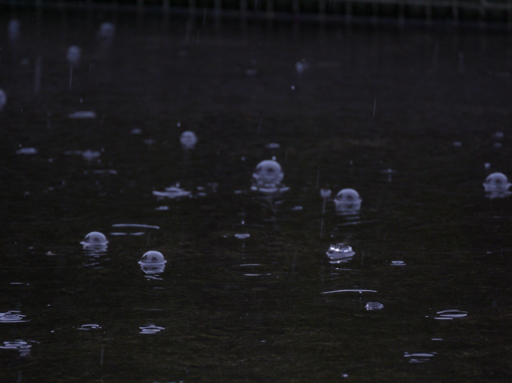 エイリアンは雨粒に乗ってくる