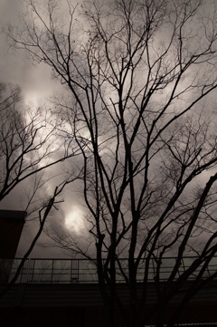 冬空は色もなく