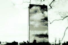 Landscape Monolith