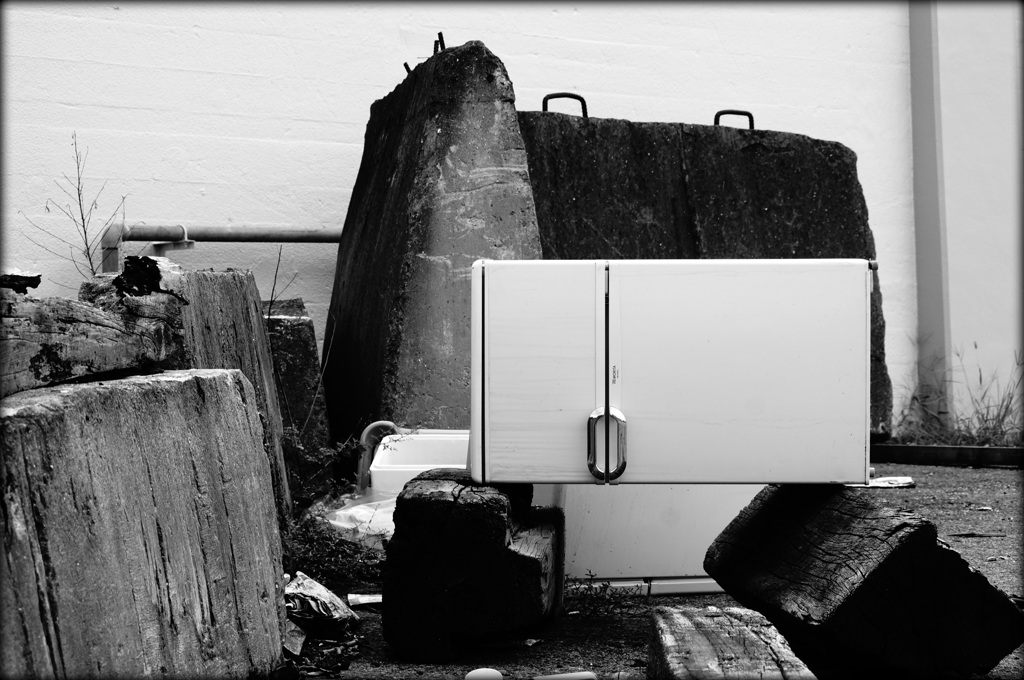 投棄された冷蔵庫によるコンセプチュアルアート（のようなもの）