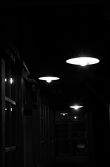 Lights in the dark