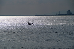 Long Distance