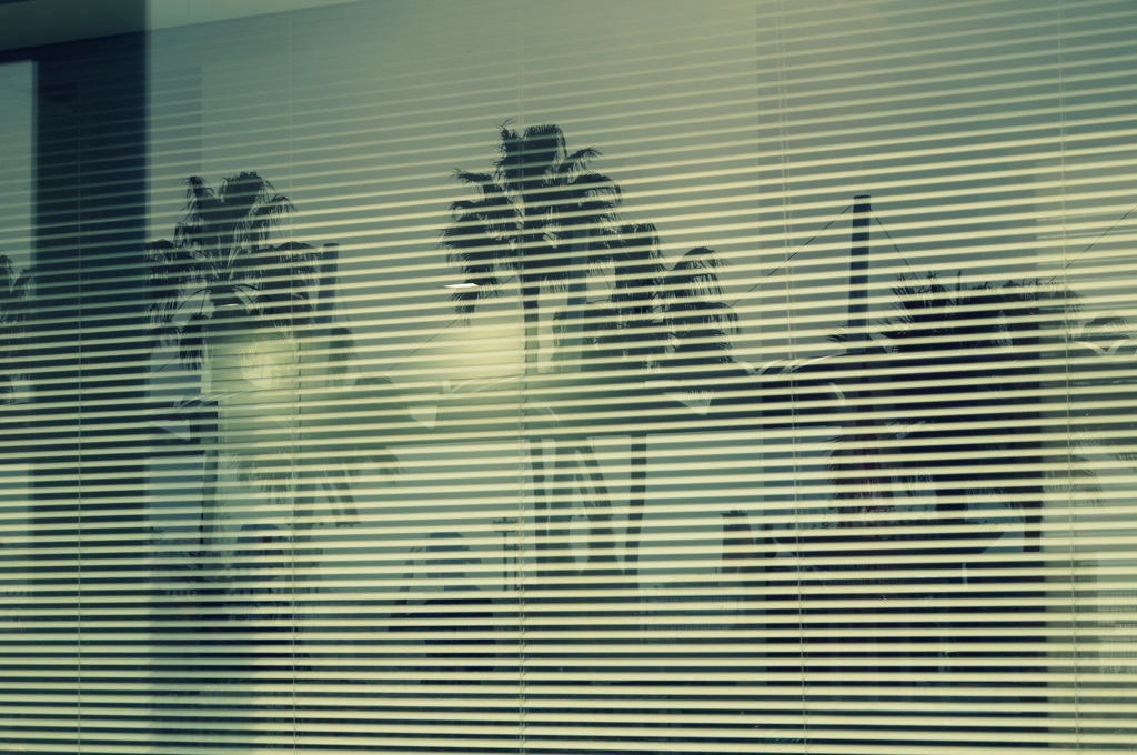 Window Shade