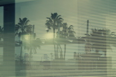 Window Shade