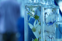 Crystal Blue