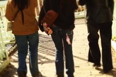 冬晴れの散歩道