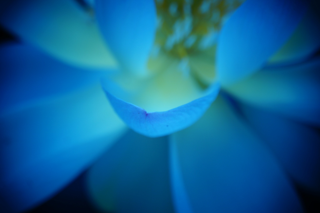 蒼い輝き