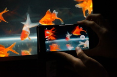 リアルとバーチャル