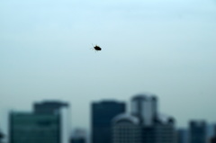 a walk in the sky