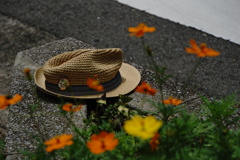 リオの夏の思い出（誰かの・・）