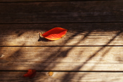 日暮れが早くなった