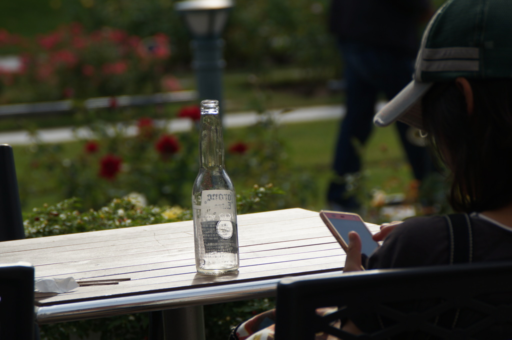 バラ園での過ごし方