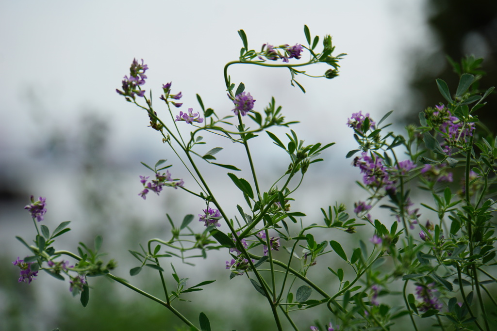 週末は嵐の予報