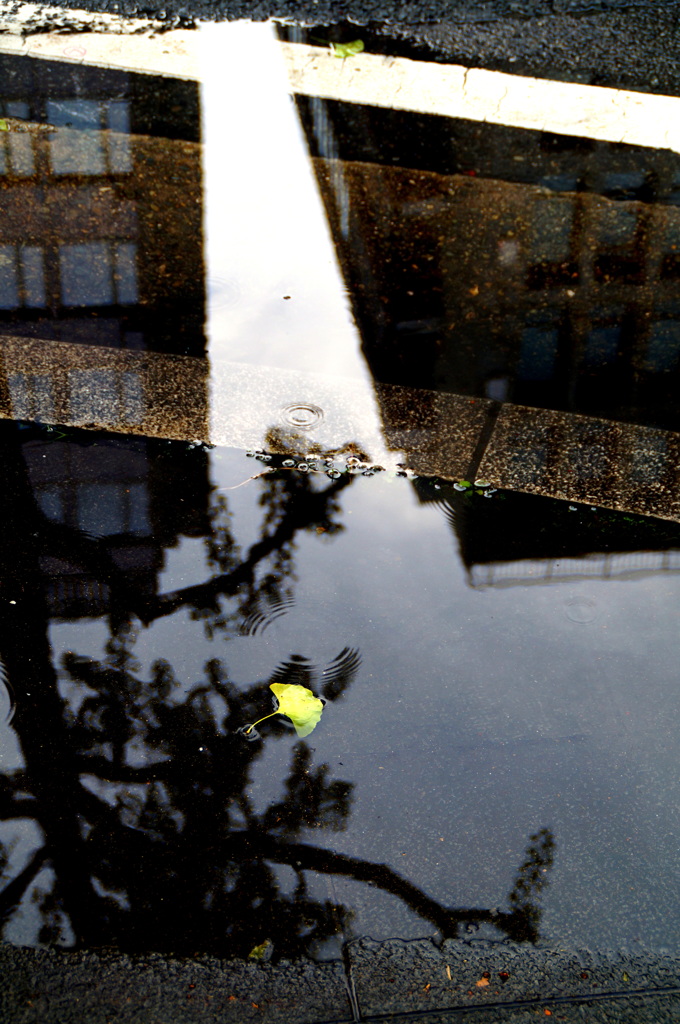 雨が通り過ぎた