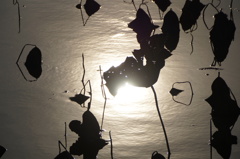 冬の陽が傾く頃