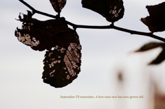 September, I'll remember...
