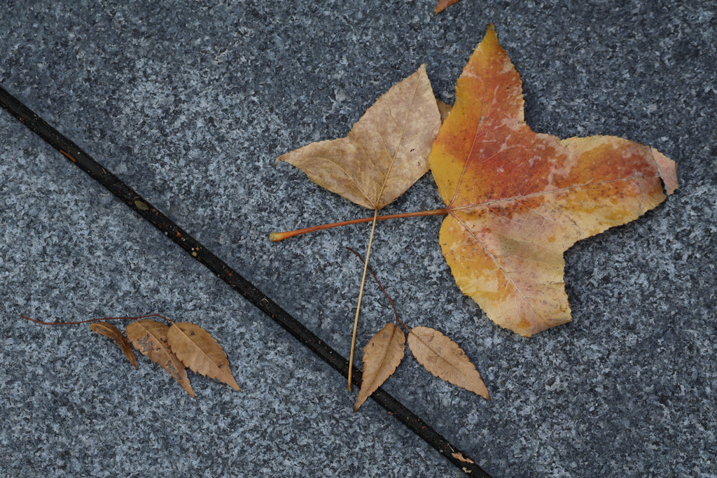 路上のメモリアルフォト