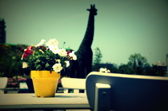 曖昧な午後の記憶