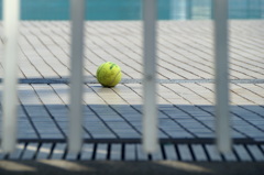 See You In September