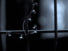 After Dark