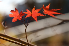 バイバイバーイ