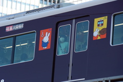 ミッフィーとお出かけ