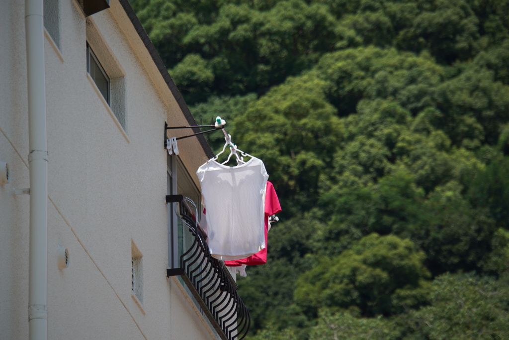 気持ちの良い日