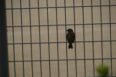 哲学的な後ろ姿 哲学的な後ろ姿