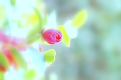 春の予感～そんな気分～