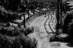 the end of the Line