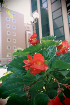 街角、夏の朝