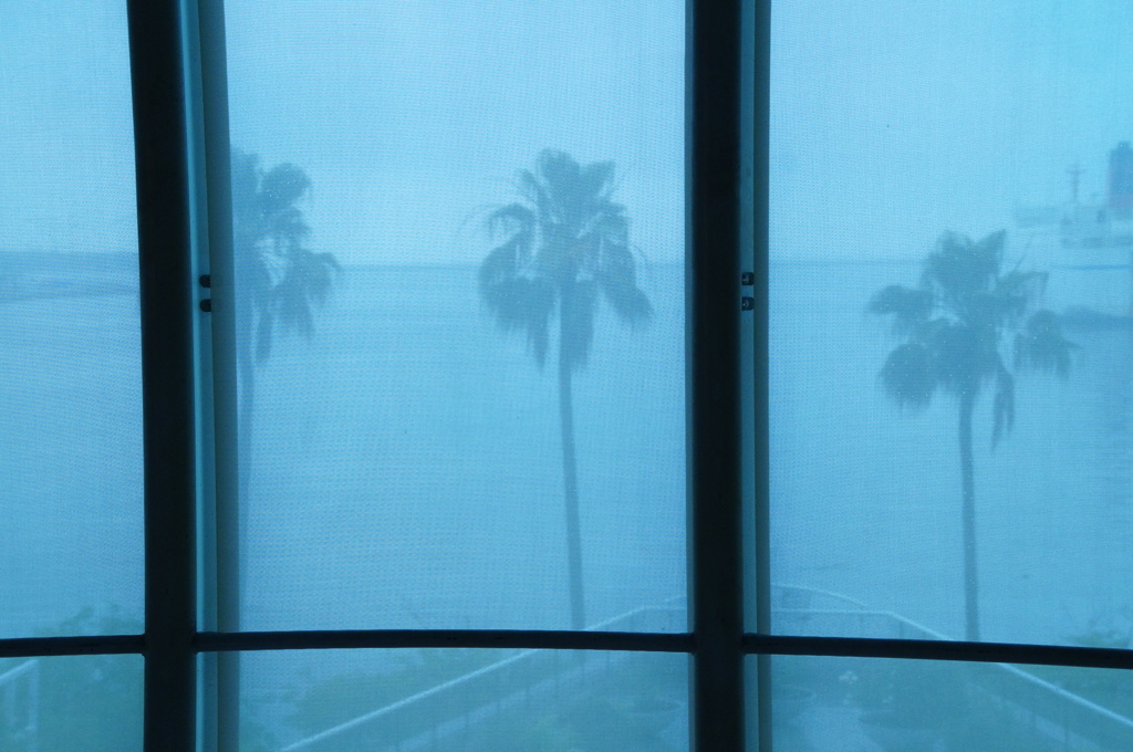 Long Rain